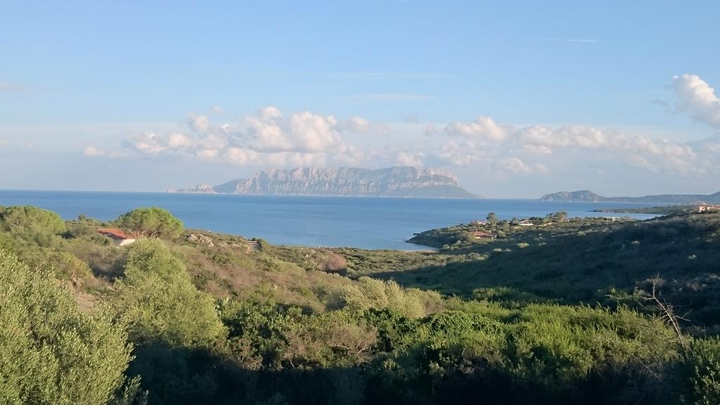 Miriacheddu San Teodoro (Sardinia)